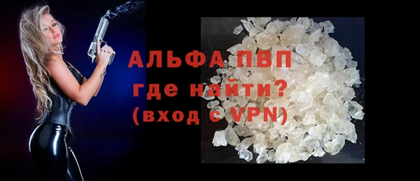 стафф Алексин