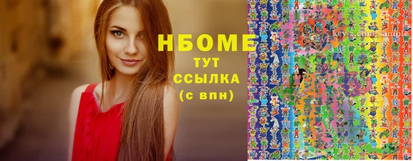 стафф Алексин