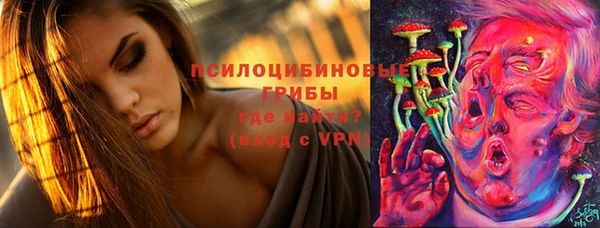 a pvp Алексеевка